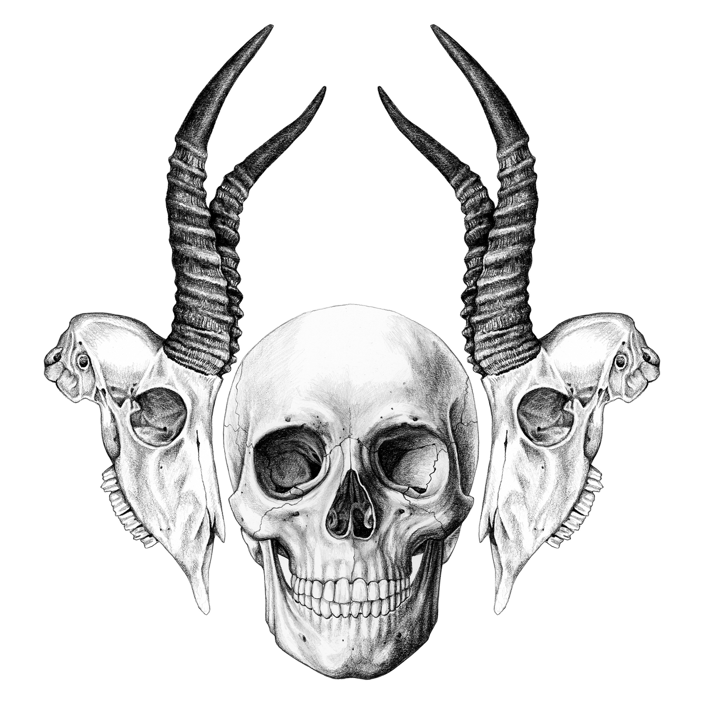 Bok & Skull Totebag