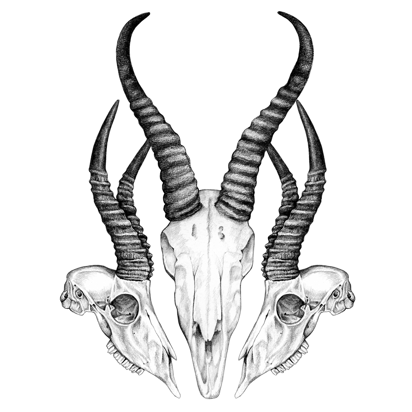 Bokke T-shirt